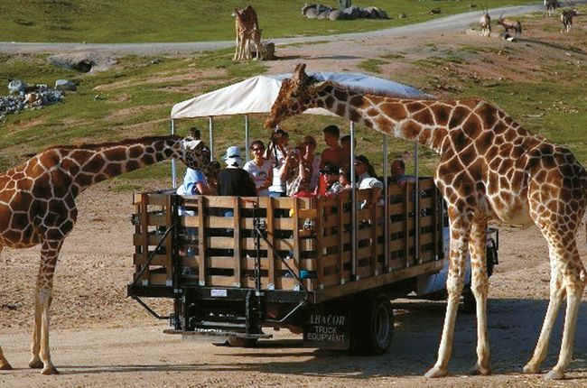 San Diego Zoo Safari Park